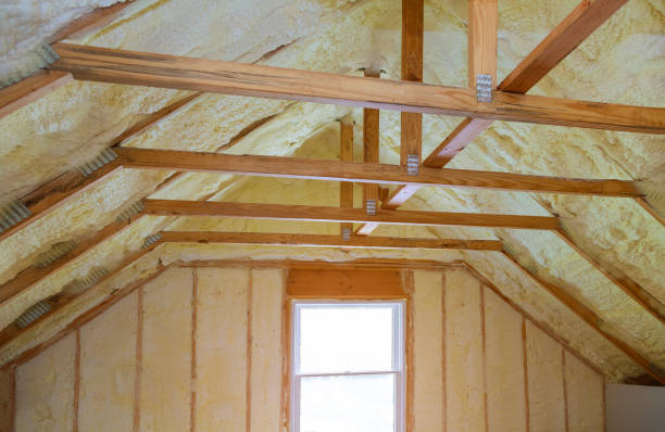 Insulation Replacement Services in Cape Coral, FL